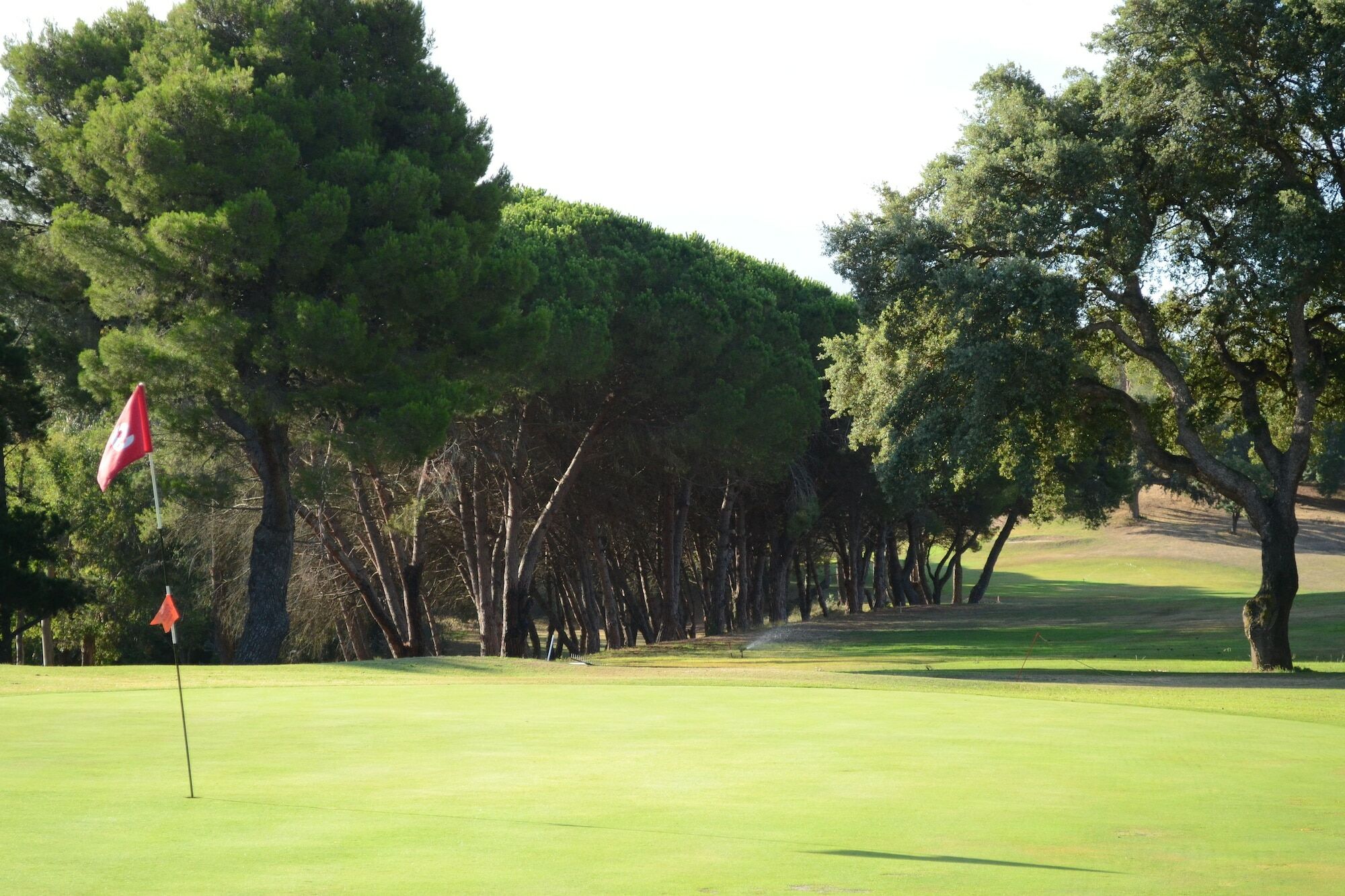 Allegroitalia Elba Golf Portoferraio Exterior foto